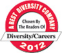 Diversity Careers